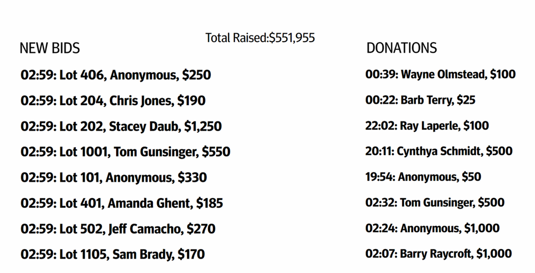 How to run a Virtual Live Auction